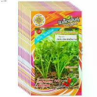 ราคา เมล็ดพันธุ์ ผักกาดเขียวน้อย พันธุ์ใบสร้อย สี่ทิศ ขายส่ง ยกห่อ (1 ห่อ บรรจุ 10 ซอง) (1735524282320848372)