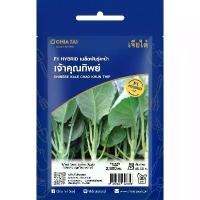 ราคา เมล็ดพันธุ์ คะน้ายอด เจ้าคุณทิพย์ เจียไต๋ (1735451979095508074)