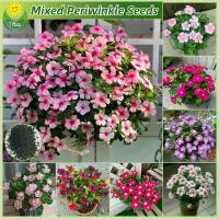ราคา เมล็ดพันธุ์ แพงพวย หอยขม แพงพวยคละสี ดอกแพงพวย บรรจุ 50 เมล็ด แพงพวยไทย เมล็ดแพงพวย เมล็ดดอกไม้ บอนสีราคาถูก เมล็ดบอนสี (1733794107752088925)