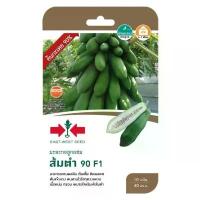 ราคา เมล็ดพันธุ์ มะละกอ ส้มตำ90 ตราศรแดง (1735253172690978412)