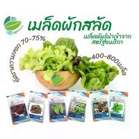 ราคา เมล็ดพันธุ์ ผักสลัด กรีนโอ๊ค เรดโอ๊ค คอส ฟิลเล่ย์ (1729608991376902279)