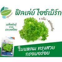 ราคา เมล็ดพันธุ์ ผักสลัด ฟิลเล่ย์ ไอซ์เบิร์ก (Frille Iceberg) (1729609173233862791)