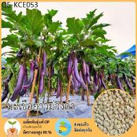 ราคา FOZU มะเขือยาวม่วง เมล็ดพันธุ์ มะเขือม่วง 300 เมล็ด ปลูกง่าย โตเร็ว (1735289608567097232)