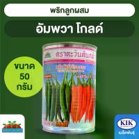 ราคา เมล็ดพันธุ์ ตะวันต้นกล้า พริกขี้หนูอัมพวาโกลด์ SP BIG กระป๋อง ขนาด 50 กรัม (1734460247702406417)