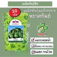 ราคา เมล็ดพันธุ์ มะเขือเปราะ หยาดทิพย์ ศรแดง 20 กรัม (1734109611876320929)