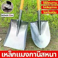 ราคา แผ่นเหล็กหนาพิเศษ! คราด,เสียม และพลั่วทำสวน เยอรมนีนำเข้าเหล็ก อุปกรณ์ทำสวน ใช้พรวนดิน ปรับหน้าดิน พลั่วขุดดิน พลั่วพรวนดิน เสียมแบน ช้อนพรวนดิน เสียมหน้าแบน จอบแบน พลั่วแซะหญ้า (1734966668283577469)