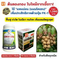 ราคา ต้นลองกอง ใบไหม้ ใบจุด แก้ด้วยชุดกำจัดเชื้อรา แพนน่อน (แมนโคเซบ) +ปุ๋ย FK-1 ฟื้นฟู บำรุง แข็งแรง (1731662974074849062)