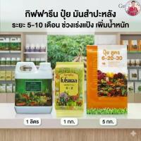 ราคา กิฟฟารีน ปุ๋ย มันสำประหลัง ระยะ 5-10 เดือน ช่วงเร่งแป้ง เพิ่มน้ำหนัก สารจับใบ 1 ลิตร + โบโรแคล 1 กก. + ปุ๋ยสูตร 6-20-30 ขนาดบรรจุ 5 กก. (1735450059241522190)