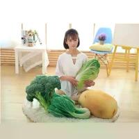 ราคา เบาะหมอนพืช ดีไซน์สร้างสรรค์ วัสดุผ้ากำมะหยี่ เหมาะสำหรับกะหล่ำบร็อคโคลี่ ผักกาดเขียว ถั่วฝักยาว ขึ้นฉ่าย มันฝรั่ง พริก และแครอท ของเล่นเด็ก ไอเดียของขวัญสุดพิเศษ (1731914220275664735)
