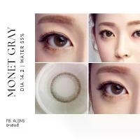 ราคา ☬คอนแทคเลนส์ รุ่น Monet gray❊ (1735230989741949990)