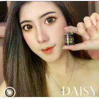 ราคา *มีค่าสายตา* คอนแทคเลนส์ Wink บิ๊กอาย Daisy Black Brown Gray เปลี่ยนแทนทุกเดือน (1729544414530668606)