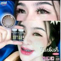 ราคา *มีค่าสายตา* คอนแทคเลนส์ Wink บิ๊กอาย furbish /Elsa Gray Brown เปลี่ยนแทนทุกเดือน (1729544360664991806)