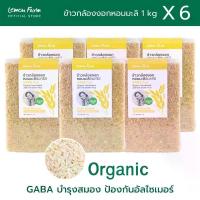 ราคา ข้าวกล้องงอกหอมมะลิ GABA Rice Organic 1kg X 6 ถุง กาบาสูง (1735292185237227092)