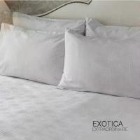 ราคา ผ้าปูที่นอนEXOTICA ชุดผ้าปูที่นอน+ปลอกหมอนหนุน ลาย Up and Away-rose ขนาด 6 ฟุต(คิงไซส์) (1735093296436839845)