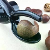 ราคา เครื่องมือปอกเกาลัด, ปากเกาลัด, สแตนเลส, กรงเล็บเกาลัด, มีดเกาลัด, ตัวคั่นเปลือก, มีดเปิด, ที่ดัดขนตา, เหมาะสำหรับปอกเกาลัด (1730536538353076563)