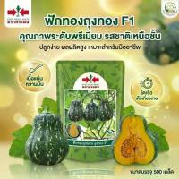 ราคา 【เก็บเงินปลายทาง】 【จัดส่งทันที】 ◎ฟักทอง ถุงทอง บัตเตอร์นัท เนื้อเนียนนุ่ม ใหม่ หวานมัน เมล็ดพันธุ์ฟักทองลูกผสม ตราศรแดง บรรจุ 200/500 เมล็ด✧ (1735439637499511847)