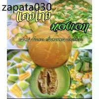 ราคา เมล็ดพันธุ์แตงไทยทองเอก หอม หวาน ดก ชุด 50 เมล็ด ขยายพันธ์ุต่อได้ (1735178654988535398)
