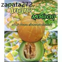 ราคา เมล็ดพันธุ์แตงไทยทองเอก หอม หวาน ดก ชุด 50 เมล็ด ขยายพันธ์ุต่อได้ (1735487425841955935)