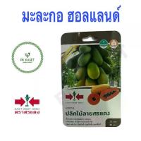 ราคา เมล็ดมะละกอ ฮอลแลนด์ ปลักไม้ลายศรแดง ศรแดง ซองแข็ง 20 เมล็ด ผักสวนครัว (1735489640938964125)