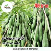 ราคา เมล็ดมะละกอครั่ง บรรจุ 100 เมล็ด (1735282093706085487)