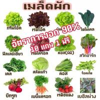 ราคา เมล็ดผักสลัด เมล็ดผัก(อินทรีย์) ผักพื้นบ้าน 200-500 เมล็ด (10 แถม 1) (1735356994188183463)
