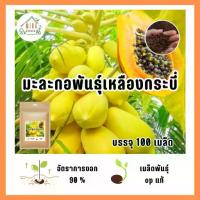 ราคา เมล็ดมะละกอเหลืองกระบี่ 100 เมล็ด (1735281991221150822)