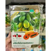 ราคา มะละกอ ฮอลแลนด์ ปลักไม้ลายศรแดง 20 เมล็ด (1735281925094016259)