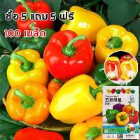ราคา 【lowest price ﻿】[ซื้อ 5 แถม 5 ฟรี]100 เมล็ด เมล็ดพริกหวาน คละสี/ส้ม/ม่วง/เหลือง/แดง Bell Pepper Color เมล็ดนำเข้า สายพันธุ์ OP เมล็ดพันธุ์พริกยักษ์หวาน ปลูกง่าย โตไว ผลดก ต้นสตรอ (1733340785194206678)