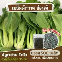 ราคา COD เมล็ดพันธุ์ผักกาดฮ่องเต้ 500 เมล็ด แบ่งขาย (ซื้อ 5 แถม 1) (1733126470475941151)