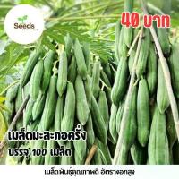 ราคา เมล็ดมะละกอครั่ง บรรจุ 100 เมล็ด (1734174757748442599)