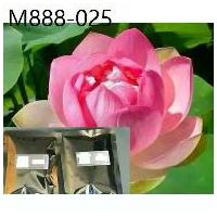 ราคา เมล็ดพันธุ์บัวหลวงชมพูบรรจุชุด10เมล็ด /ซอง (1735274664513013069)