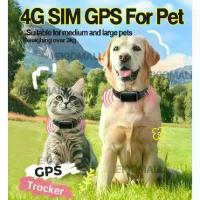 ราคา [จัดส่งทันที] ปลอกคอสัตว์เลี้ยงติดตาม GPS 4G อุปกรณ์ติดตามสัตว์เลี้ยง GPE สำหรับสุนัข แมว ลูกสุนัข ปลอกคอสุนัข GPS กันน้ำ ปรับได้ ป้องกันการสูญหาย (1734362491024868731)
