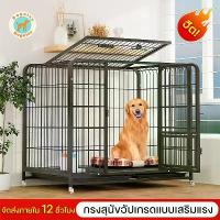 ราคา Dogelsy กรงสุนัข กรงหมา บ้านหมา เหมาะสำหรับสุนัข แมว และกระต่าย คอกหมา กรงหมาใหญ่ กรงสัตว์เลี้ยง (1734525494545843979)