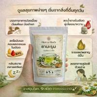 ราคา (ซื้อ 1 แถม 2) Herva Herb ชามะรุม สมุนไพร 9 ชนิด ช่วยลดความดันโลหิต ลดน้ำตาลในเลือด ช่วยระบบเผาผลาญ ลดความเครียด ช่วยนอนหลับ ผลิตภัณฑ์สุขภาพที่ดีขึ้น (1734963576706270941)