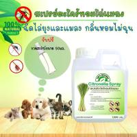 ราคา สเปรย์ตะไคร้หอมไล่ยุง(citronella spray) ออแกนิค ป้องกันและขับไล่แมลง ไล่แมลง ไล่ยุง แมลงสาบ กันยุง สมุนไพร ตะไคร้หอม (1735526680616011104)