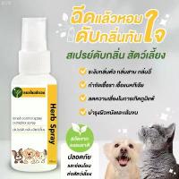 ราคา Cfl628SHOP สเปรย์ดับกลิ่นตัว สุนัข แมว ดับกลิ่นสาบ กลิ่นเหม็น กลิ่นฉี่ กลิ่นทราย 100 ml. สมุนไพร หมอไทยทำเอง รองเท้าหนัง จิ๊บบิท ติดรองเท้า รองเท้าผ้าใบ รองเท้า dior คนจีนรองเท้า (1735322725649974530)