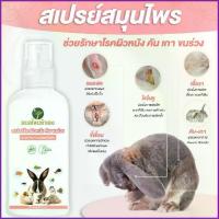 ราคา Tzd351SHOP สเปรย์บรรเทาโรคผิวหนัง สเปรย์กระต่าย ขี้เรื้อน เชื้อรา ไร คันเกา กระรอก ชูก้า แกสปี้ 100 ml สมุนไพร หมอไทยทำเอง กาตาร์จอร์แดน รองเท้าlacoste kitten heels ဖိနပ်များ boy (1734993351393839069)