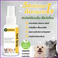 ราคา Rsu332SHOP สเปรย์ดับกลิ่นตัว สุนัข แมว ดับกลิ่นสาบ กลิ่นเหม็น กลิ่นฉี่ กลิ่นทราย 100 ml. สมุนไพร หมอไทยทำเอง รองเท้าlacoste aerogel รองเท้าไซส์ 4145 พื้นรองเท้านุ่มๆ รองเท้าหัวโต (1735098663829800709)