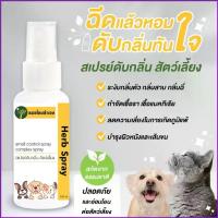 ราคา Rho077SHOP สเปรย์ดับกลิ่นตัว สุนัข แมว ดับกลิ่นสาบ กลิ่นเหม็น กลิ่นฉี่ กลิ่นทราย 100 ml. สมุนไพร หมอไทยทำเอง รองเท้าหุ้มส้น boots joseph rudyard kipling รองเท้าหัวโต ผู้หญิง รองเ (1735098610676041152)