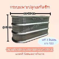 ราคา กระบะเพาะปลูกเมทัลชีท วงรี ขนาด กว้าง 50 ยาว 120 สูง 60 เซนติเมตร (3 สันลอน) แถมขอบยางกันบาด พร้อมน็อต สำหรับปลูกต้นไม้ ดอกไม้ ทำแปลงผัก ตกแต่งบ้านและสวน (1732681599294276791)
