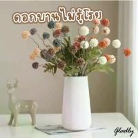 ราคา giffnormal ช่อดอกแดนดิไลออน ดอกบานไม่รู้โรยปลอม สีวินเทจ ดอกไม้ปลอม ดอกไม้ประดิษฐ์ ตกแต่งบ้าน พร็อพถ่ายรูป Dandelion (1735319820974786297)