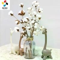 ราคา น่าสนใจ [มีสินค้าพร้อมส่ง] กิ่งดอกฝ้ายแห้งธรรมชาติ จำนวน 10 หัว ต้นไม้ปลอม กิ่งดอกฝ้าย สำหรับตกแต่งงานแต่งงานและงานเลี้ยง ดอกไม้ปลอม ตกแต่งบ้าน (1735044844811683075)