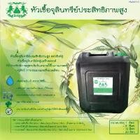 ราคา ขายดี หัวเชื้อ EM ตราสิงห์คู่ ถัง 20 ลิตร (1735452094346855801)