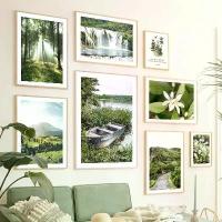 ราคา ภาพวาดบนผืนผ้าใบ, ภาพโปสเตอร์และภาพพิมพ์, การออกแบบภูเขาลึก, การออกแบบดอกไม้เรือใบไม้สีเขียวและน้ำตก, ศิลปะบนผนัง, เหมาะสำหรับการตกแต่งห้องนั่งเล่น, ภาพวาดโปสเตอร์ (1731865702818808928)