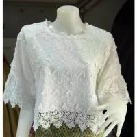 ราคา ☃เสื้อลูกไม้คอตตอน เกาหลี ญี่ปุ่น แขนยาว✦【ส่งฟรี】 (1734603575873340570)