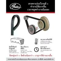 ราคา ♚ชุดสายพานไทม์มิ่ง HONDA CITY TYPE Z ฮอนด้า ซิตี้ ไทป์แซด D13B D15B City 1.3/1.5 ปี95 GATES รหัส TCK-223N❦ (1735533270386902118)
