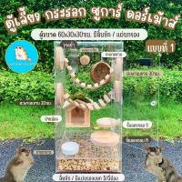 ราคา ตู้No.1 กรงชูการ์ กระรอก ดอร์เม้าส์ กรงอะคริลิค30x30x60ซม./สำหรับเลี้ยงชูการ์ ดอร์เม้าส์ กรงกระรอก กรงชูการ์ จัดส่งจากกทม (1734959823495071262)
