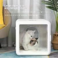 ราคา กล่องอบแห้งสัตว์เลี้ยงในครัวเรือนแมว 220V เครื่องอบแห้ง Meow Star Man เครื่องเป่าน้ำเป่าผมแมวและสุนัข เครื่องเป่าผมฆ่าเชื้อ (1729639699918915786)