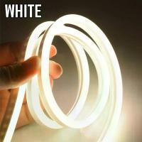 ราคา ไฟปีใหม่ ไฟประดับตกแต่ง ไฟเส้นLED Neon flex 2835 12Vไฟเส้นนีออนเฟล็ก ไฟท่อ 50เมตร แถมฟรีข้อต่อสาย+จุกปิดท้าย5ตัวพร้อมส่ง (1729521981483550779)