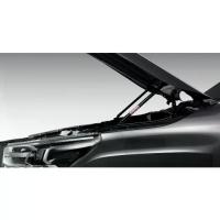 ราคา โช๊คฝากระโปรงหน้า Toyota Fortuner / Revo Preruuner 4x4 Rocco ( แท้ศูนย์ 100% ) (1734625605555684639)